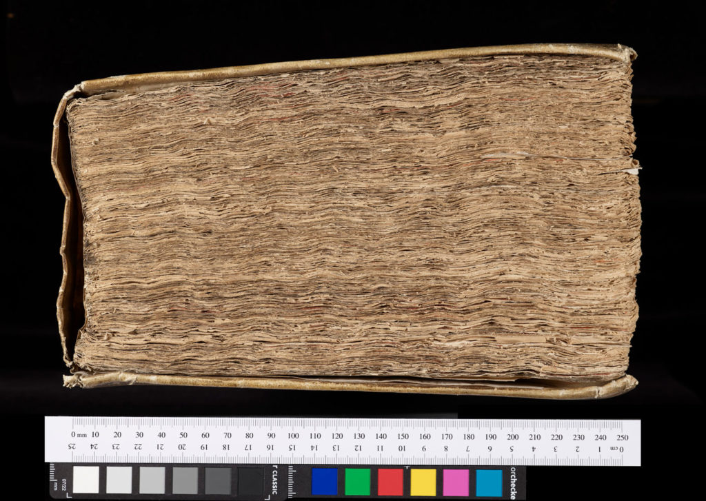 Photograph of the head of Bodleian Library Locke 17.16.